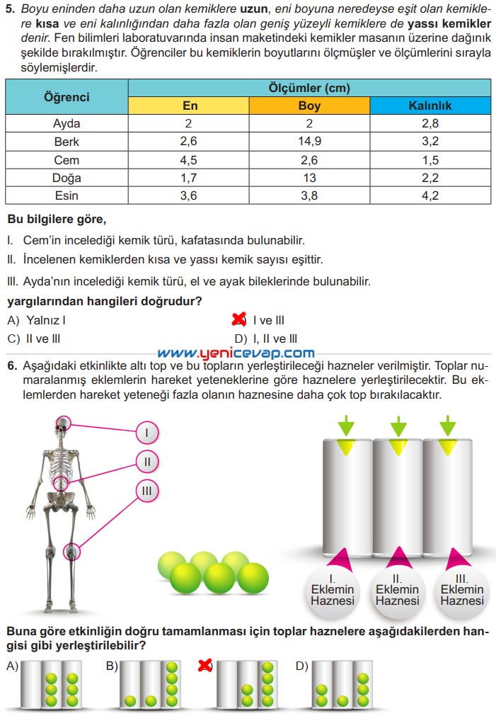 6. Sınıf Fen Bilimleri Kitabı Sayfa 39 40 41 42 43 Cevapları Meb
