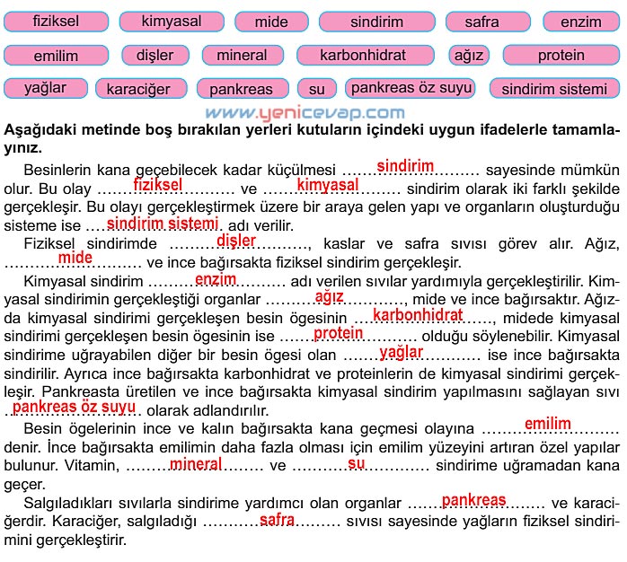 6. Sınıf Fen Bilimleri Kitabı Sayfa 39 40 41 42 43 Cevapları Meb