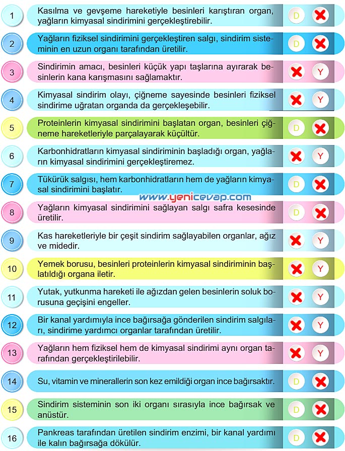 6. Sınıf Fen Bilimleri Kitabı Sayfa 39 40 41 42 43 Cevapları Meb