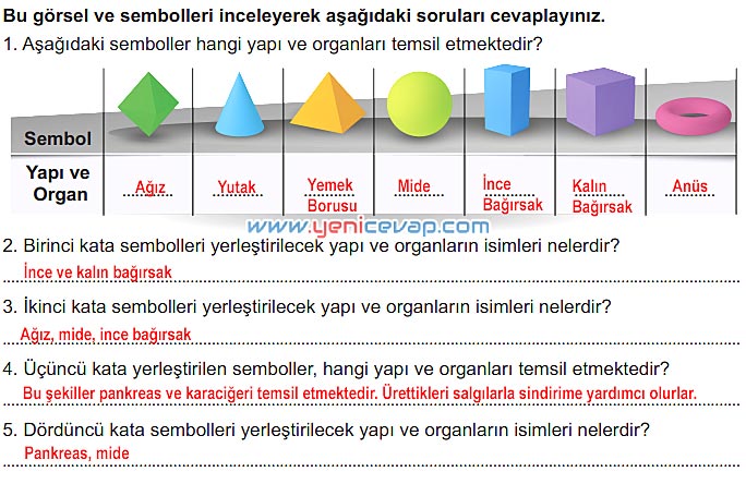 6. Sınıf Fen Bilimleri Kitabı Sayfa 44 45 46 47 48 Cevapları Meb