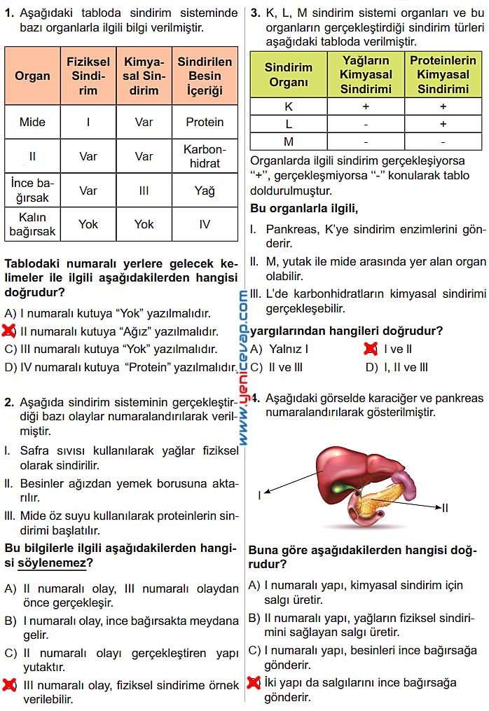 6. Sınıf Fen Bilimleri Kitabı Sayfa 44 45 46 47 48 Cevapları Meb