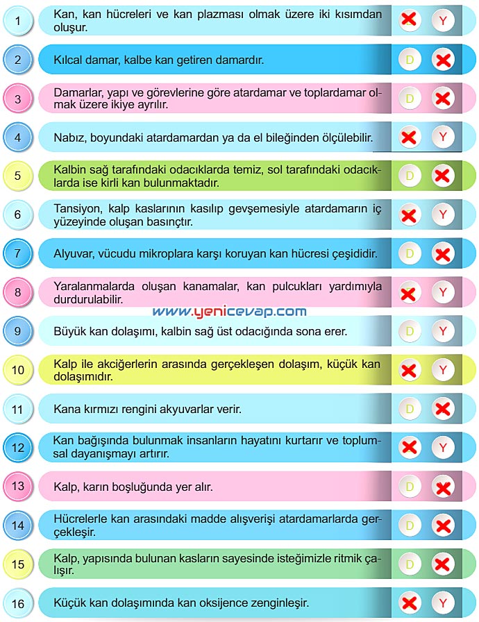 6. Sınıf Fen Bilimleri Kitabı Sayfa 49 50 51 52 53 Cevapları Meb