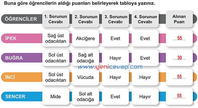 6. Sınıf Fen Bilimleri Kitabı Sayfa 49 50 51 52 53 Cevapları Meb