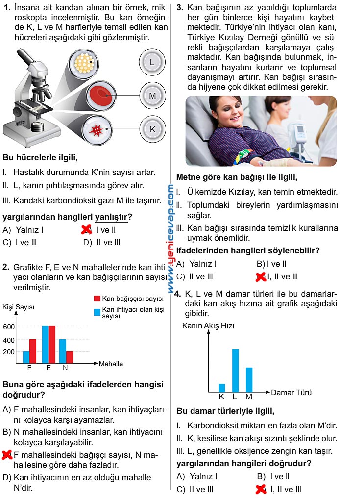 6. Sınıf Fen Bilimleri Kitabı Sayfa 54 55 56 57 58 Cevapları Meb