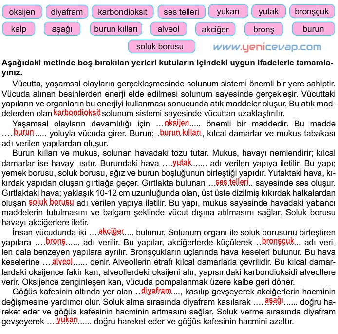 6. Sınıf Fen Bilimleri Kitabı Sayfa 54 55 56 57 58 Cevapları Meb