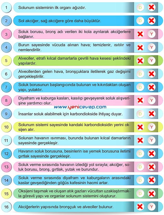 6. Sınıf Fen Bilimleri Kitabı Sayfa 54 55 56 57 58 Cevapları Meb