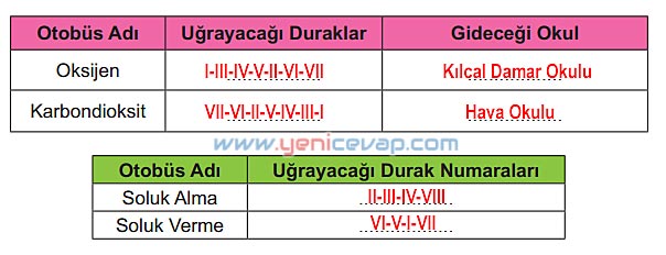 6. Sınıf Fen Bilimleri Kitabı Sayfa 54 55 56 57 58 Cevapları Meb