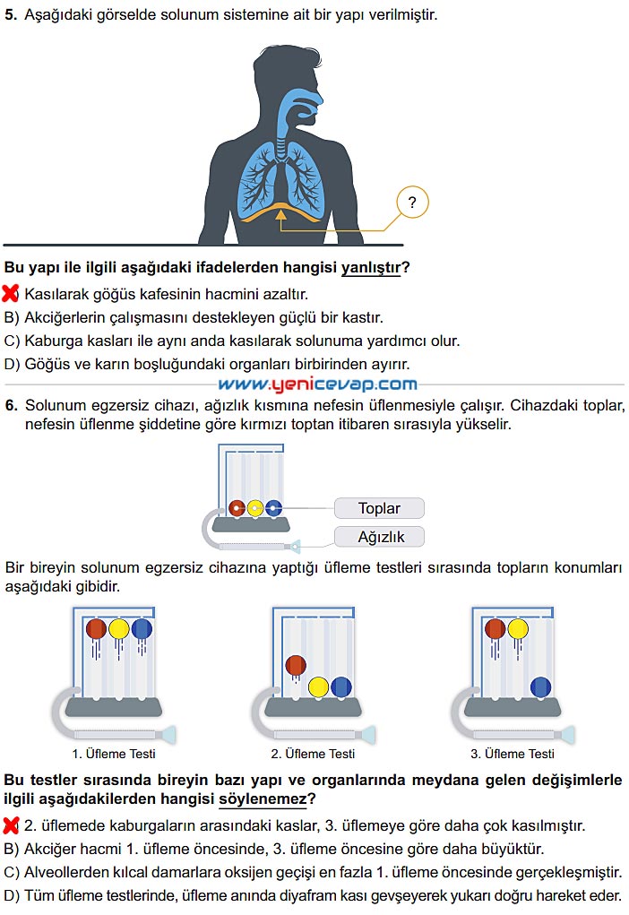 6. Sınıf Fen Bilimleri Kitabı Sayfa 59 60 61 62 63 Cevapları Meb