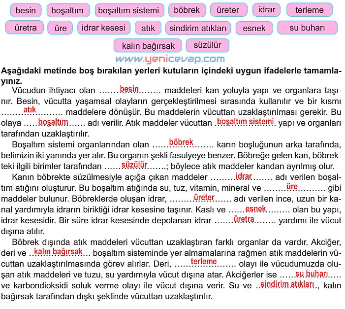 6. Sınıf Fen Bilimleri Kitabı Sayfa 59 60 61 62 63 Cevapları Meb
