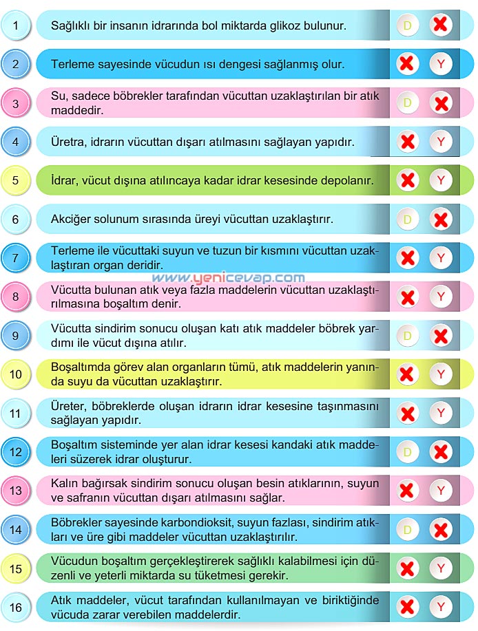 6. Sınıf Fen Bilimleri Kitabı Sayfa 59 60 61 62 63 Cevapları Meb