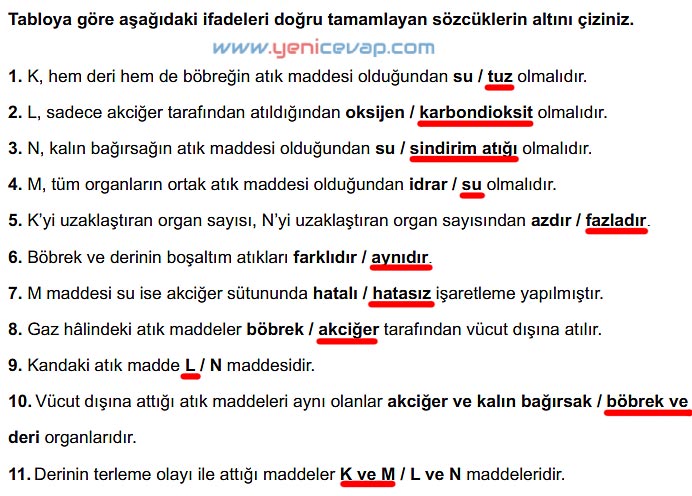 6. Sınıf Fen Bilimleri Kitabı Sayfa 64 65 66 67 68 69 Cevapları Meb