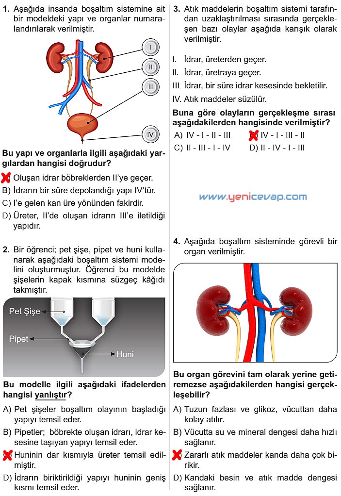 6. Sınıf Fen Bilimleri Kitabı Sayfa 64 65 66 67 68 69 Cevapları Meb