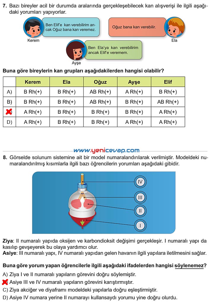 6. Sınıf Fen Bilimleri Kitabı Sayfa 70 71 72 74 75 Cevapları Meb
