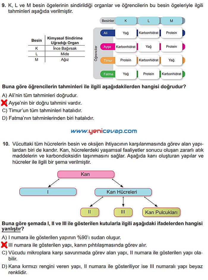 6. Sınıf Fen Bilimleri Kitabı Sayfa 70 71 72 74 75 Cevapları Meb