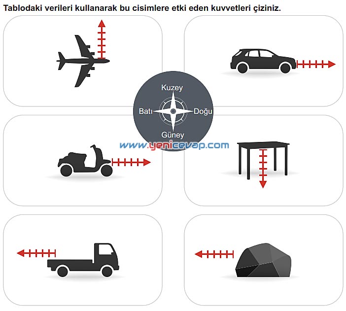 6. Sınıf Fen Bilimleri Kitabı Sayfa 76 77 78 79 80 Cevapları Meb