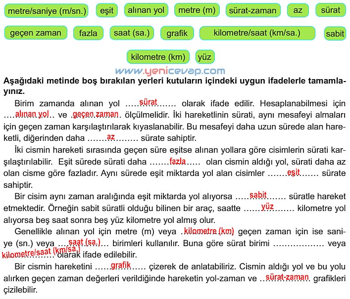 6. Sınıf Fen Bilimleri Kitabı Sayfa 81 82 83 84 85 Cevapları Meb