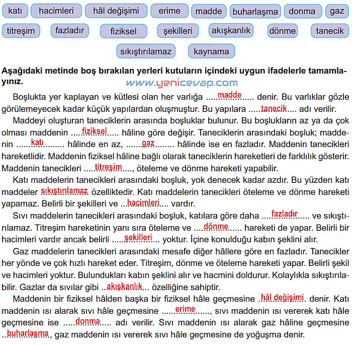 6. Sınıf Fen Bilimleri Kitabı Sayfa 91 92 93 94 96 Cevapları Meb