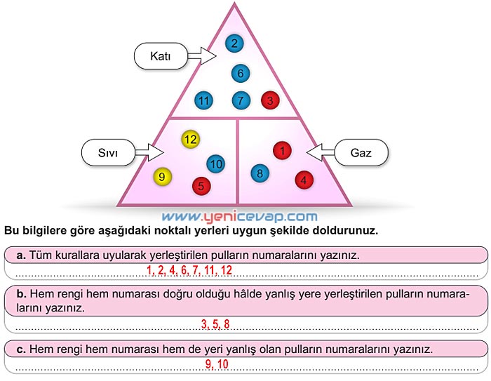 6. Sınıf Fen Bilimleri Kitabı Sayfa 97 98 99 100 101 102 Cevapları Meb