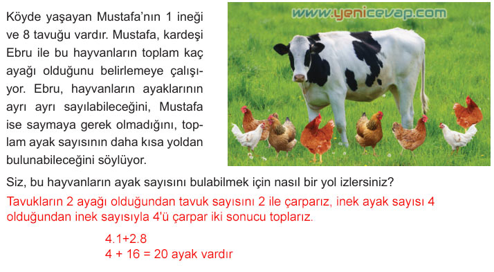 6. Sınıf Matematik Kitabı Sayfa 14 15 16 17 18 19 Cevapları Meb