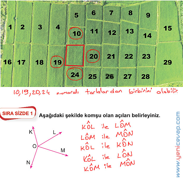 6. Sınıf Matematik Kitabı Sayfa 219 220 221 222 223 224 Cevapları Meb