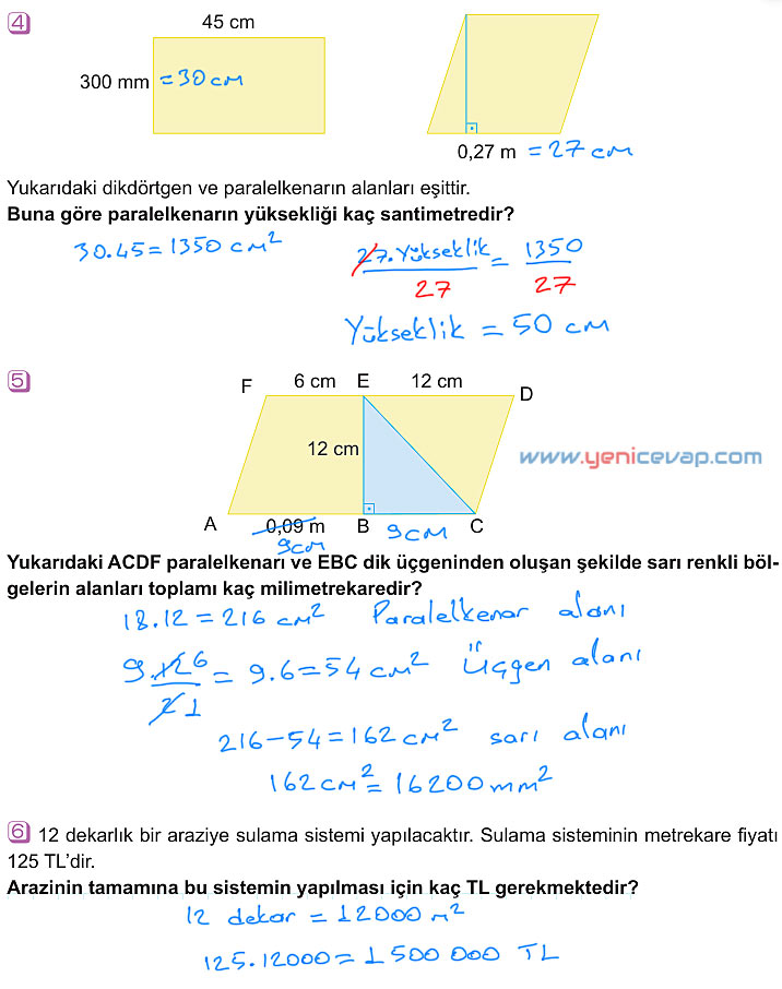 6. Sınıf Matematik Kitabı Sayfa 243 244 245 246 247 Cevapları Meb