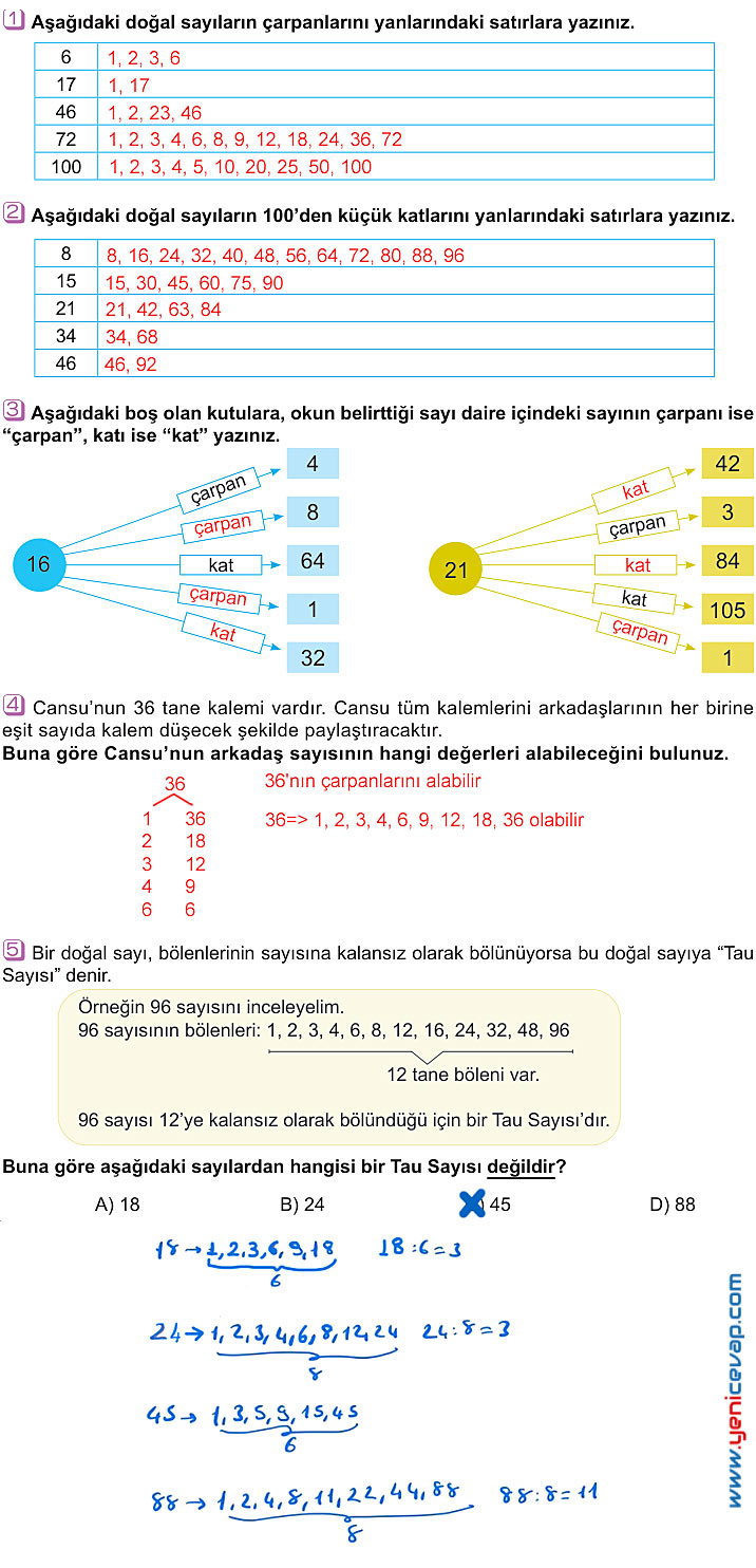 6. Sınıf Matematik Kitabı Sayfa 42 44 45 46 47 48 Cevapları Meb