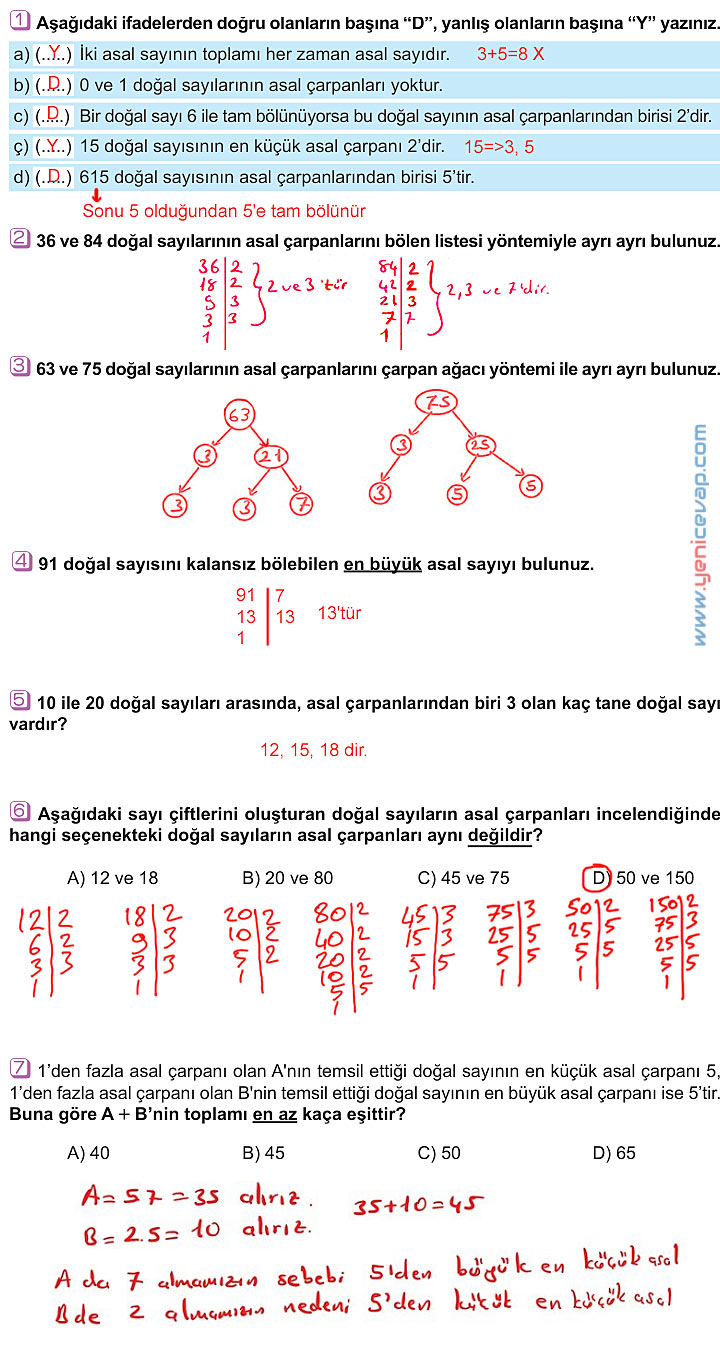 6. Sınıf Matematik Kitabı Sayfa 49 50 53 57 58 Cevapları Meb