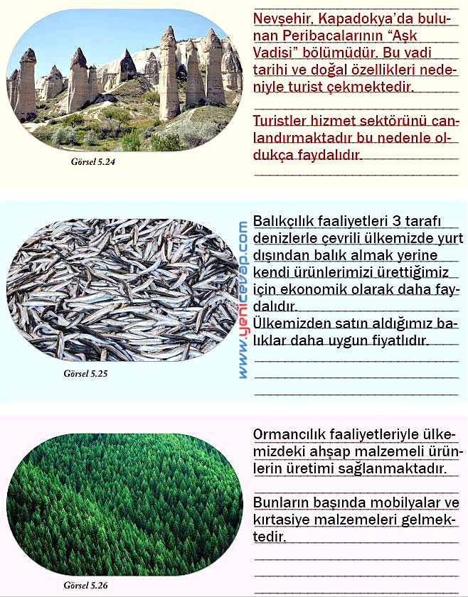6. Sınıf Sosyal Bilgiler Kitabı Sayfa 169 170 171 172 173 174 177 178 Cevapları Evos