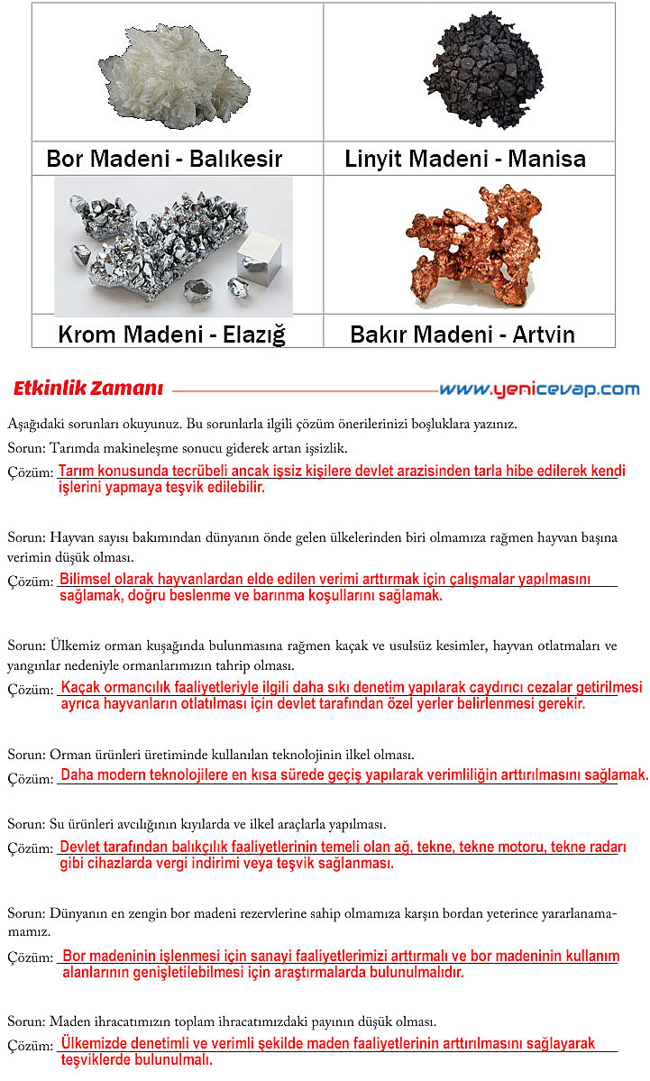 6. Sınıf Sosyal Bilgiler Kitabı Sayfa 169 170 171 172 173 174 177 178 Cevapları Evos