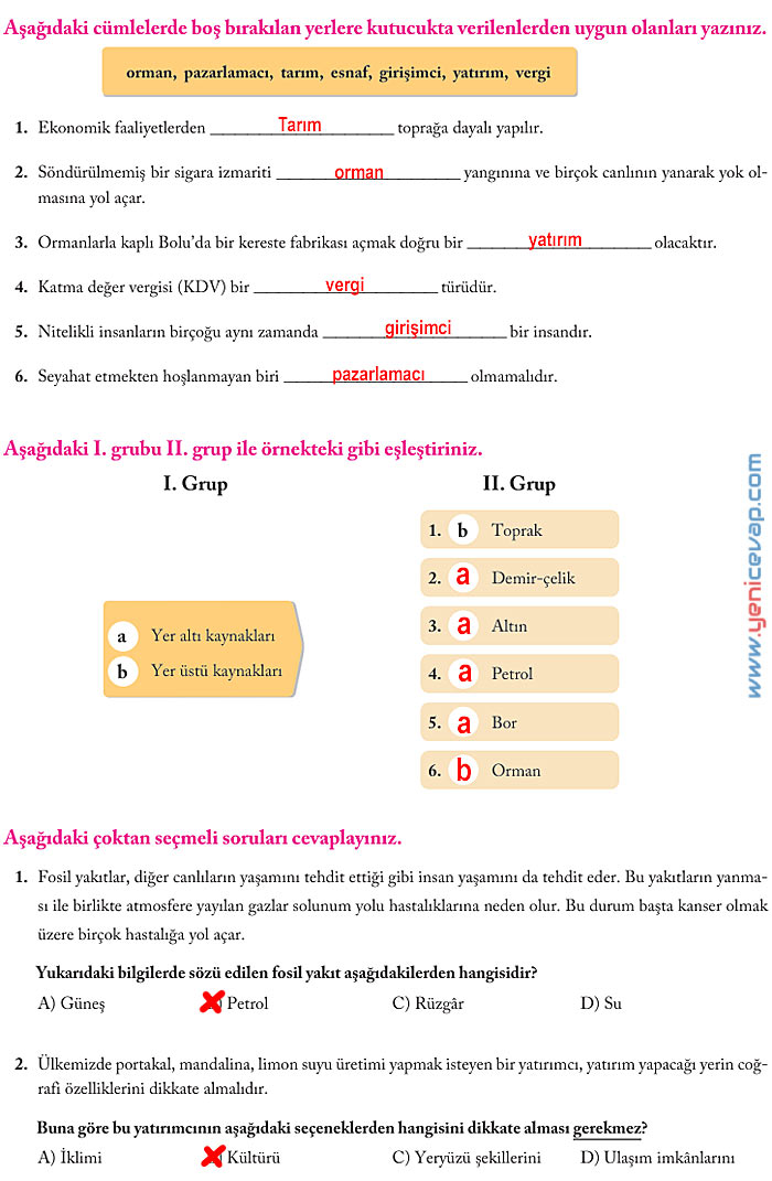 6. Sınıf Sosyal Bilgiler Kitabı Sayfa 196 197 198 199 200 201 202 203 Cevapları Evos
