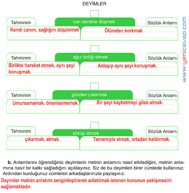 6. Sınıf Türkçe Kitabı Sayfa 95 96 98 99 100 101 Cevapları Meb