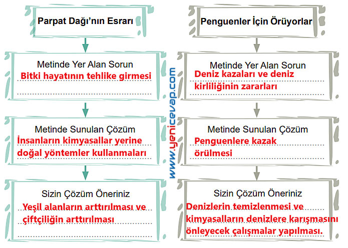 6. Sınıf Türkçe Kitabı Sayfa 95 96 98 99 100 101 Cevapları Meb