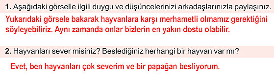 6. Sınıf Türkçe Kitabı Sayfa 102 104 105 106 108 Cevapları Meb