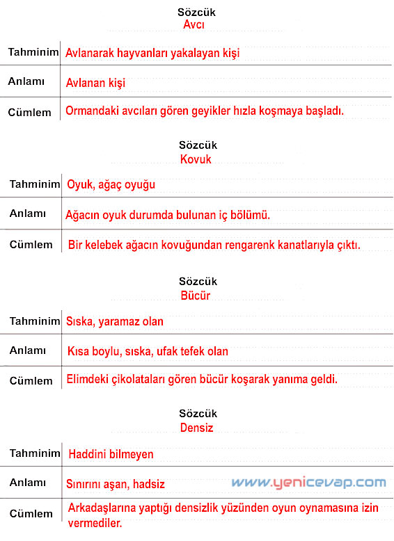 6. Sınıf Türkçe Kitabı Sayfa 117 119 122 123 124 125 Cevapları Meb