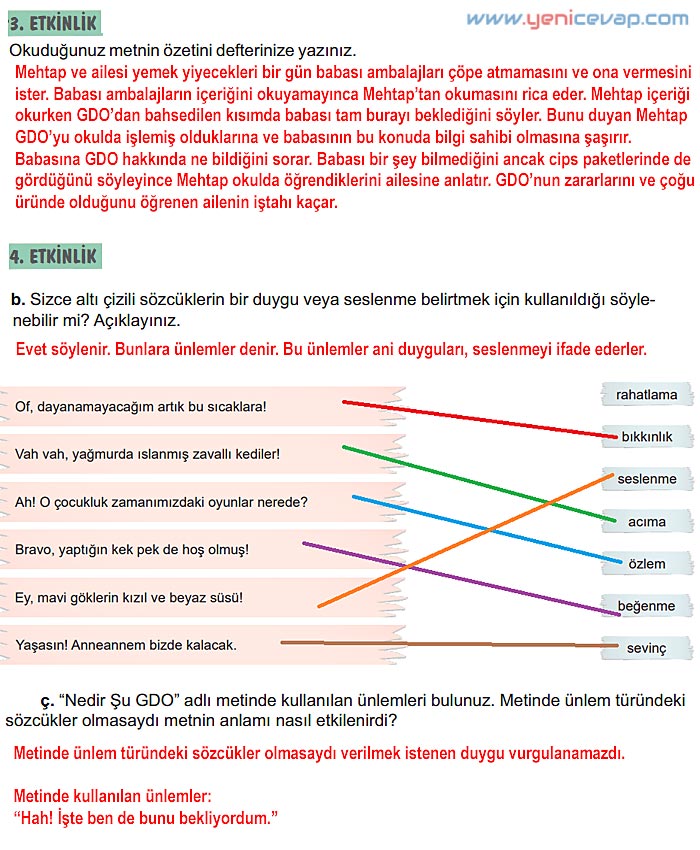 6. Sınıf Türkçe Kitabı Sayfa 217 218 219 220 221 Cevapları Meb