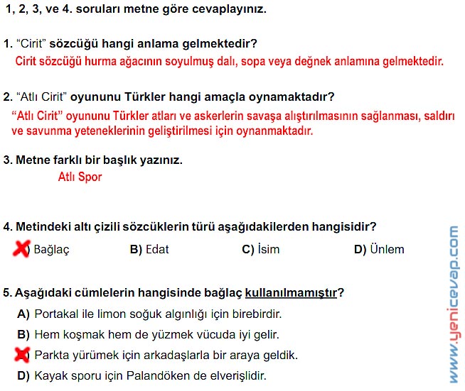 6. Sınıf Türkçe Kitabı Sayfa 227 229 230 231 232 Cevapları Meb
