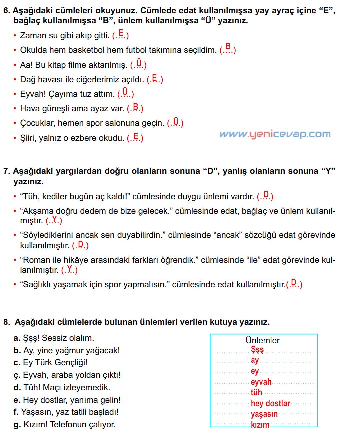 6. Sınıf Türkçe Kitabı Sayfa 227 229 230 231 232 Cevapları Meb