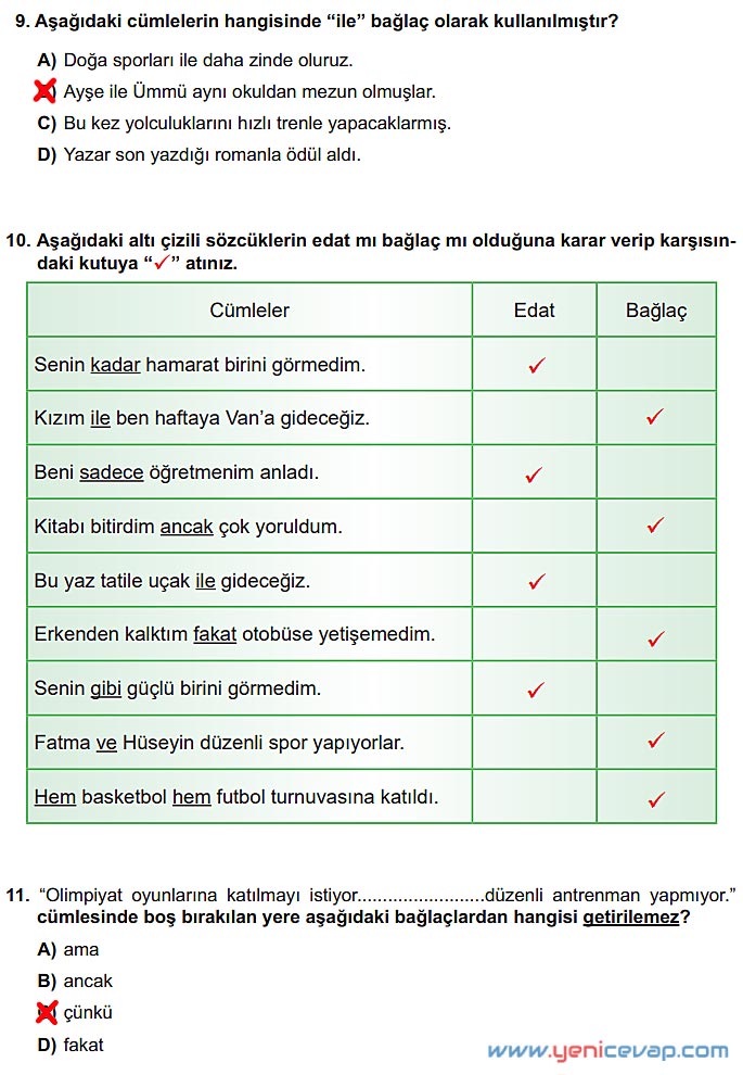 6. Sınıf Türkçe Kitabı Sayfa 227 229 230 231 232 Cevapları Meb