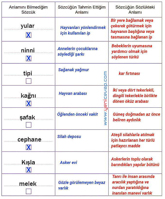 6. Sınıf Türkçe Kitabı Sayfa 58 62 63 64 65 66 Cevapları Meb