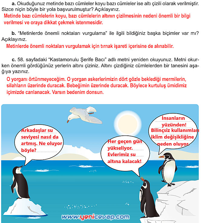 6. Sınıf Türkçe Kitabı Sayfa 73 74 78 79 80 Cevapları Meb