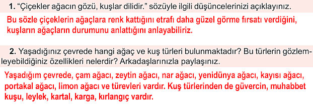 6. Sınıf Türkçe Kitabı Sayfa 81 82 83 87 88 89 Cevapları Meb