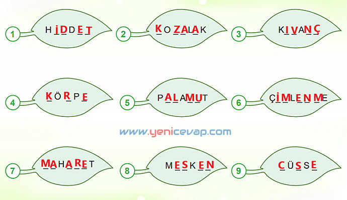 6. Sınıf Türkçe Kitabı Sayfa 81 82 83 87 88 89 Cevapları Meb