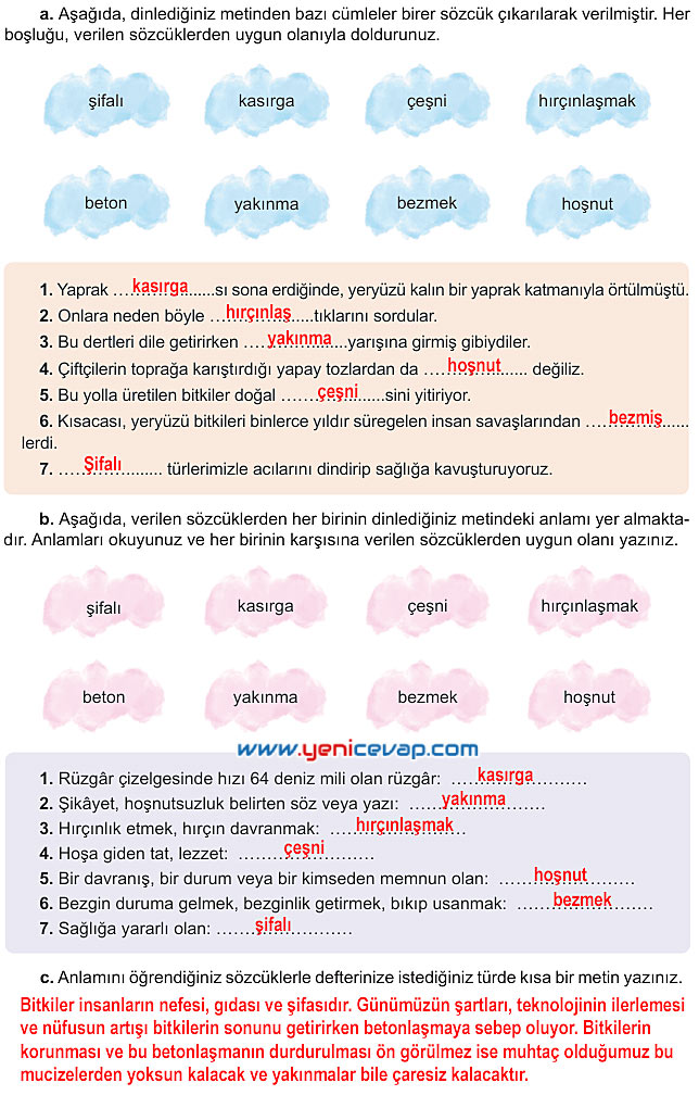 6. Sınıf Türkçe Kitabı Sayfa 95 96 98 99 100 101 Cevapları Meb