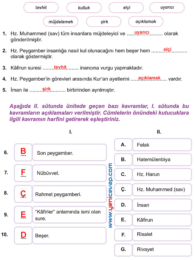 7. Sınıf Din Kültürü Kitabı Sayfa 112 113 114 115 116 117 Cevapları Meb