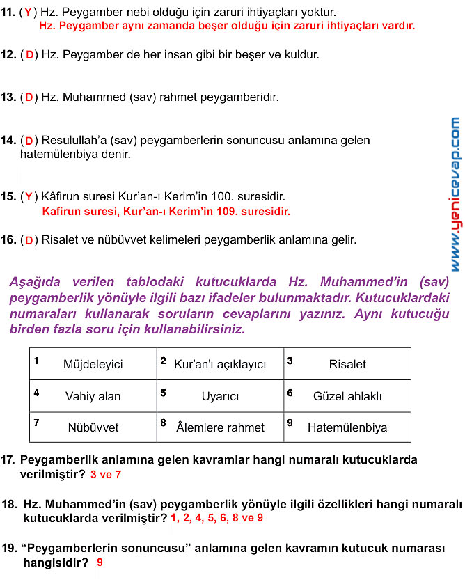 7. Sınıf Din Kültürü Kitabı Sayfa 112 113 114 115 116 117 Cevapları Meb