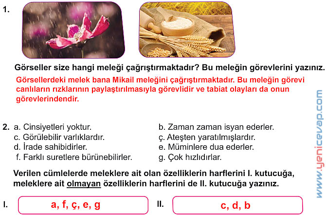 7. Sınıf Din Kültürü Kitabı Sayfa 13 14 15 16 19 20 21 Cevapları Meb
