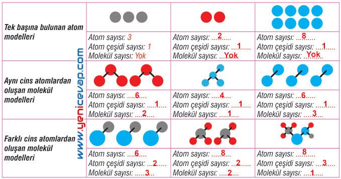 7. Sınıf Fen Bilimleri Kitabı Sayfa 100 101 102 103 106 107 108 109 Cevapları Meb
