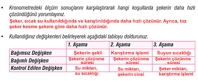 7. Sınıf Fen Bilimleri Kitabı Sayfa 114 116 117 118 120 122 123 124 Cevapları Meb
