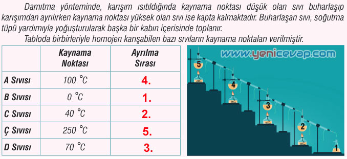 7. Sınıf Fen Bilimleri Kitabı Sayfa 127 128 129 130 134 137 139 140 Cevapları Meb