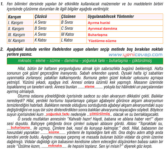7. Sınıf Fen Bilimleri Kitabı Sayfa 127 128 129 130 134 137 139 140 Cevapları Meb